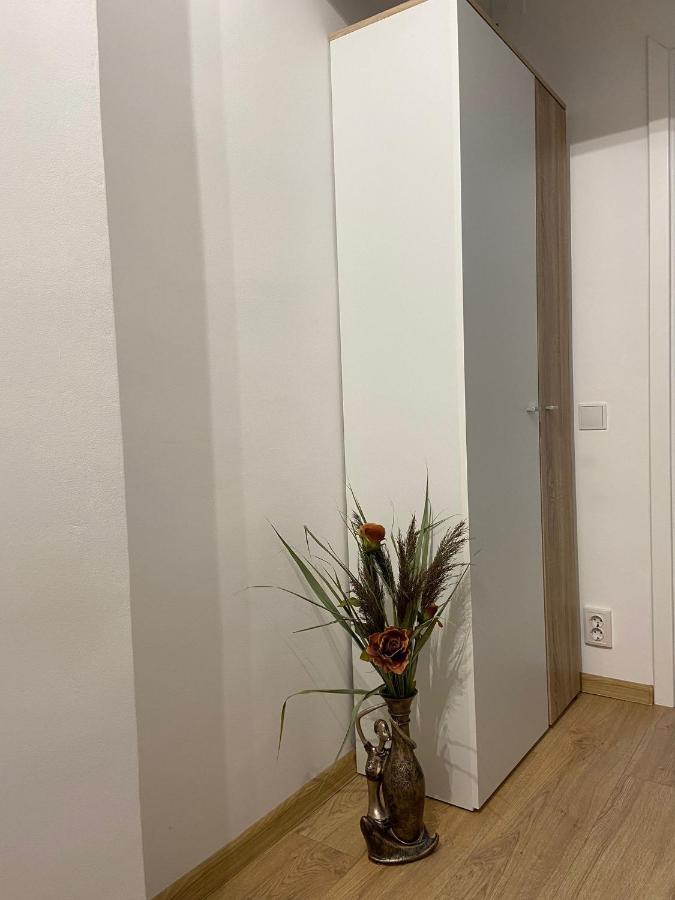Daniela'S Apartaments ซิวิโชอารา ภายนอก รูปภาพ